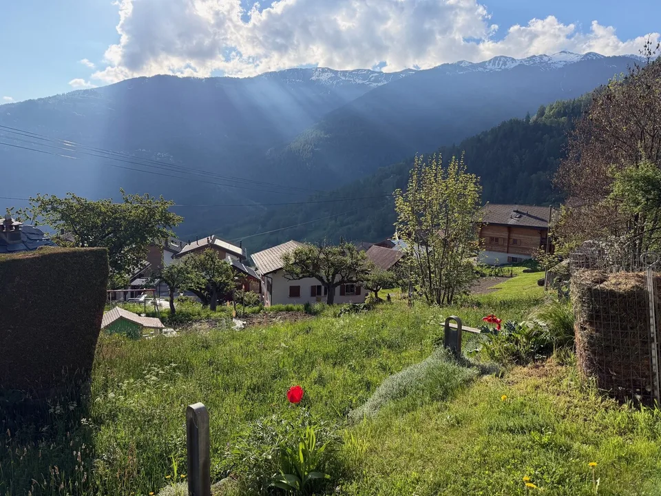 Très jolie parcelle de 968 m2 en zone résidentielle à Sornard en zone H30 à Nendaz avec accès direct