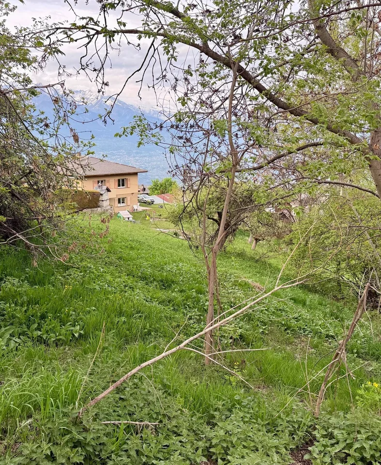 Très jolie parcelle de 968 m2 en zone résidentielle à Sornard en zone H30 à Nendaz avec accès direct