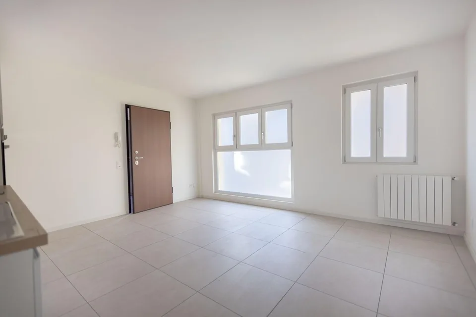 Splendid and spacious studio apartment on the ground floor in Capolago