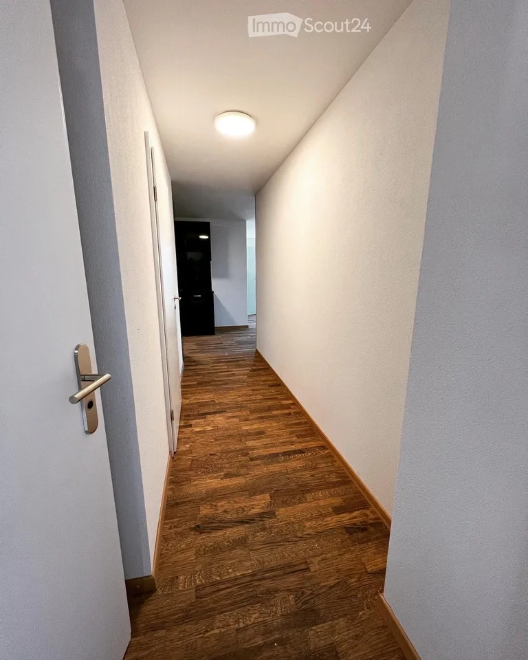 Charmant appartement 2.5 pièces à Wetzikon – disponible immédiatement!