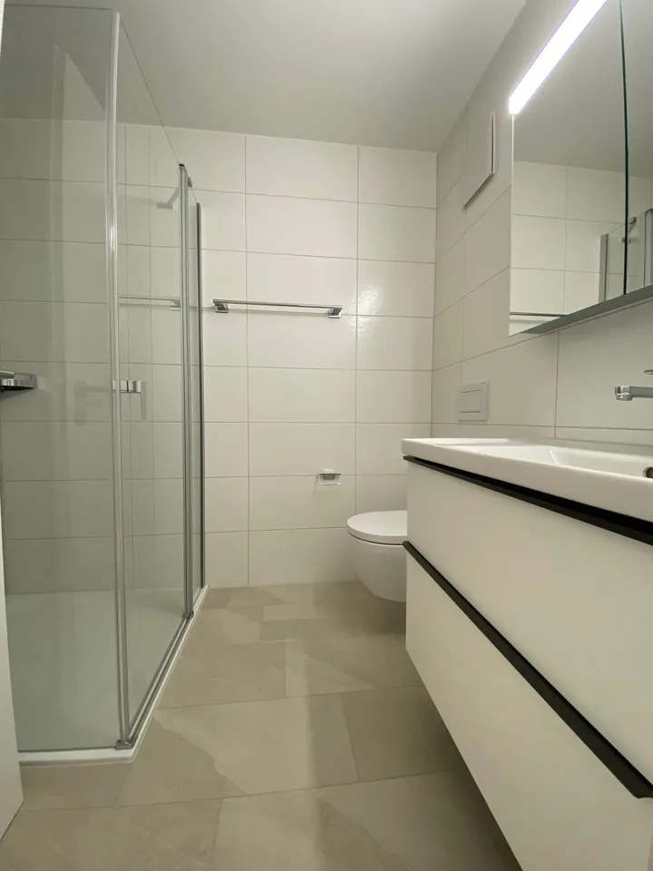 Stilvolle 2.5-Zimmer-Wohnung mit Balkon in Dübendorf Nr. 5541