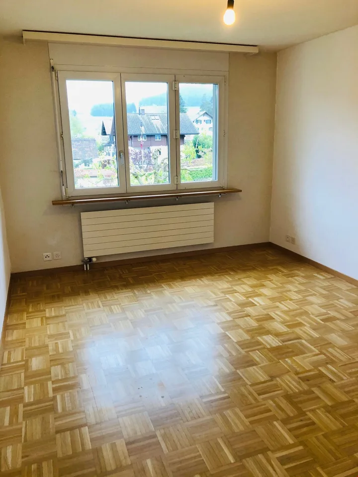 4.5 room apartment with balcony and view