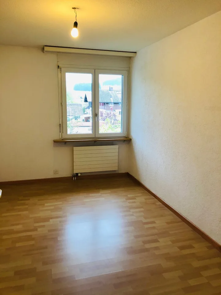 4.5 room apartment with balcony and view