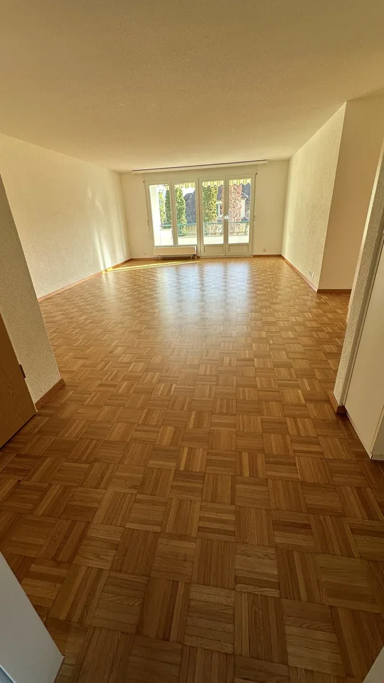 4.5 room apartment with balcony and view