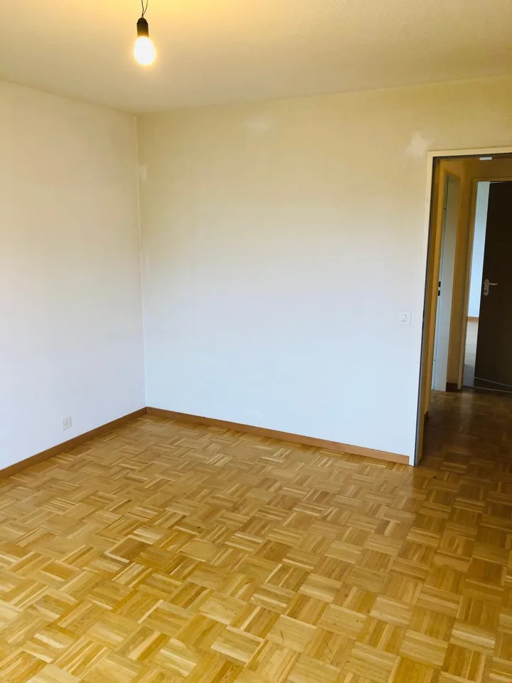 4.5 room apartment with balcony and view