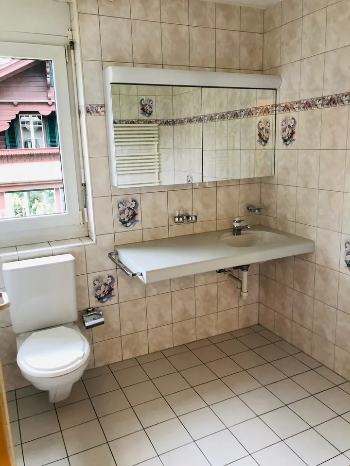 4.5 room apartment with balcony and view
