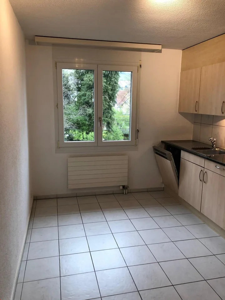 4.5 room apartment with balcony and view