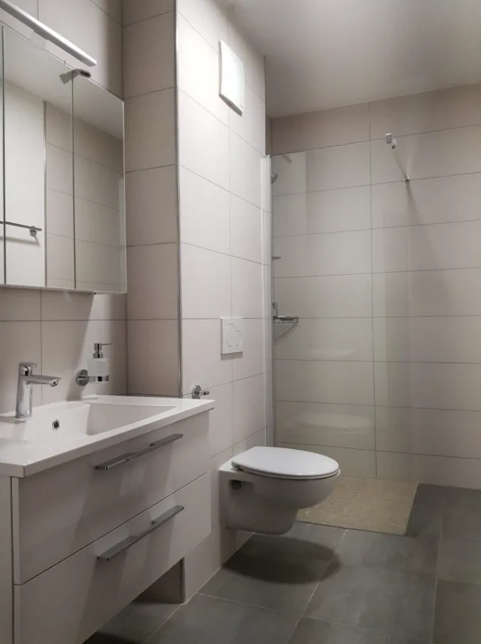 Rental Property "Turnkey" (2019) – 100% Let – Courfaivre Centre