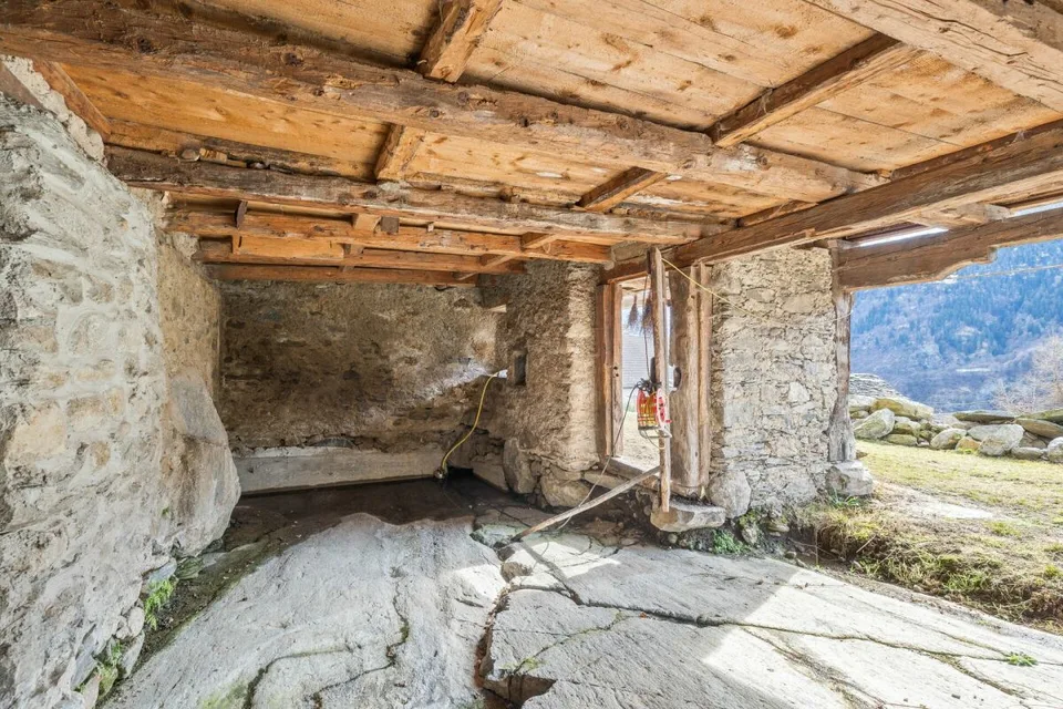 Ticino Ensemble with 8'475 m2 Land