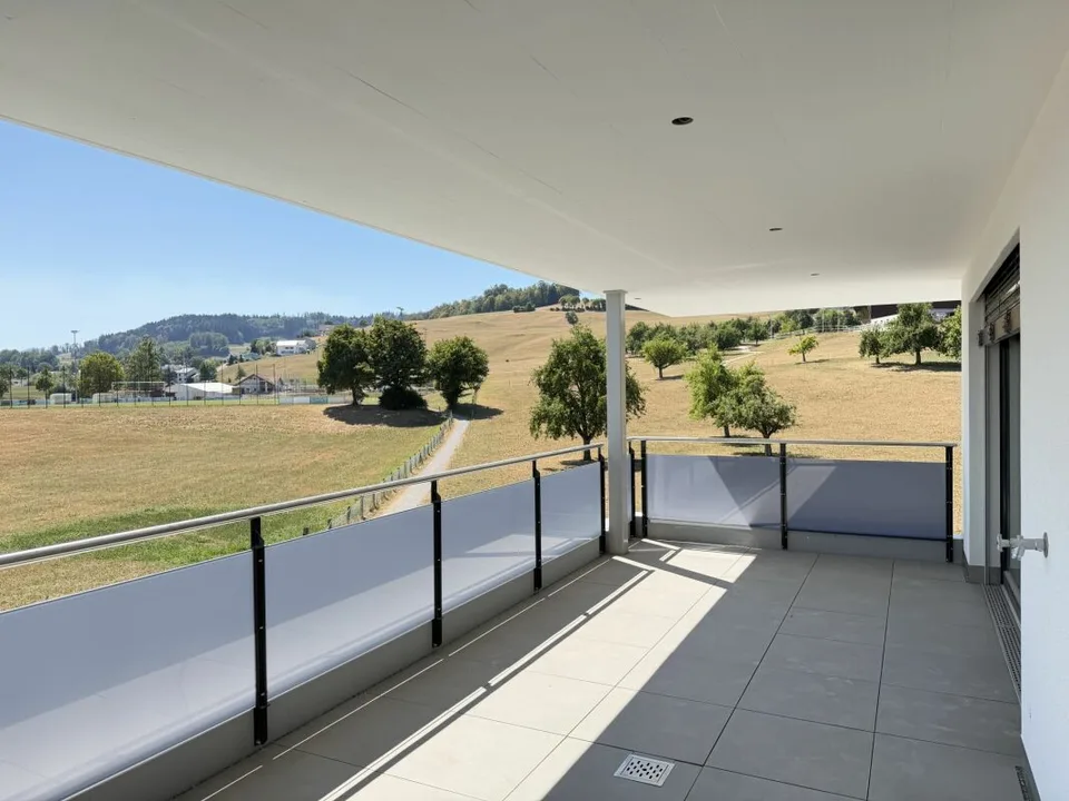 Last available new building apartment