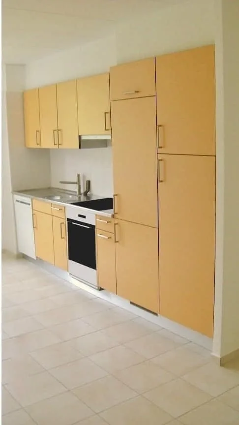Spacious 3.5-room apartment renovated, garden, cellar, garage and parking