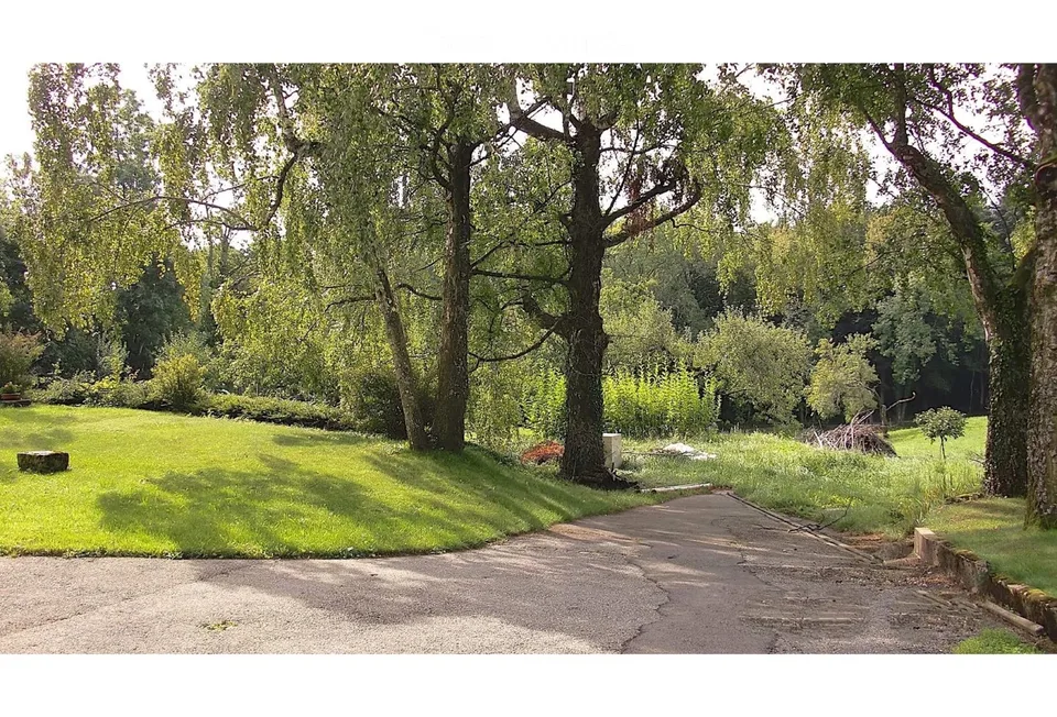 Spacious 3.5-room apartment renovated, garden, cellar, garage and parking