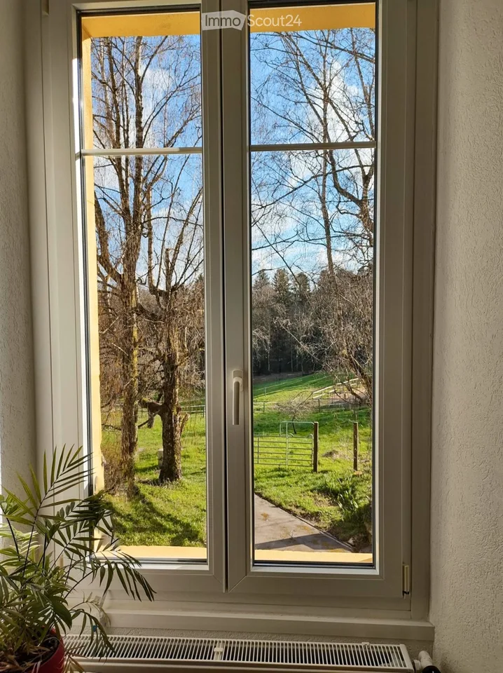 Spacious 3.5-room apartment renovated, garden, cellar, garage and parking