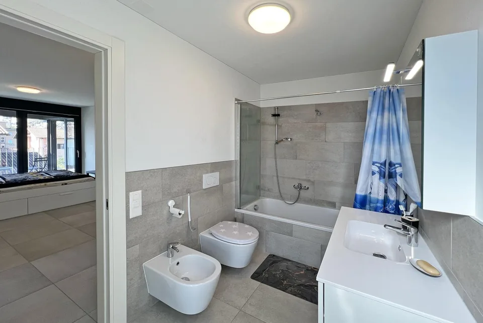 Beautiful and Elegant 2.5 Rooms Apartment with Terrace in Agno