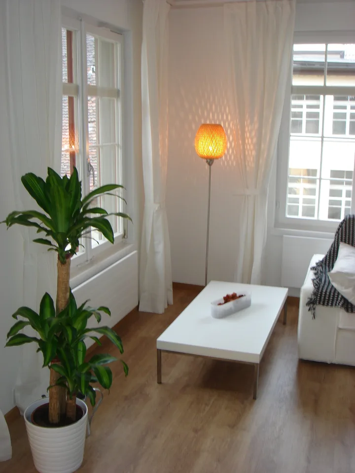 Eine kleine «schmucke» Wohnung mitten im Zentrum Schaffhausen