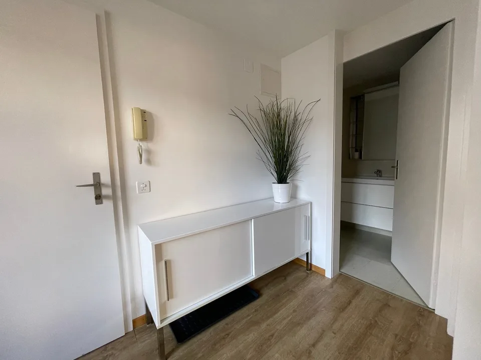 Eine kleine «schmucke» Wohnung mitten im Zentrum Schaffhausen