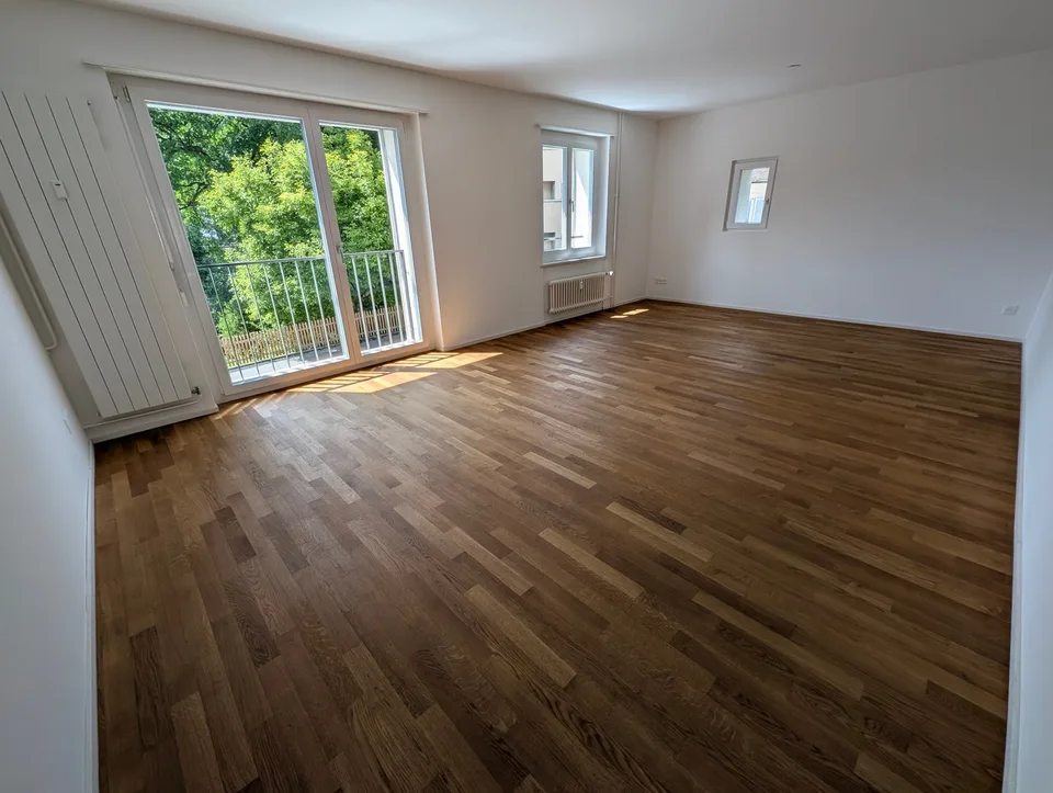 Charmante 3.5-Zimmerwohnung im St.Karli-Quartier