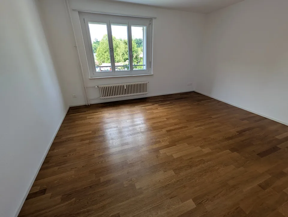 Delizioso appartamento 3.5 locali nel quartiere St. Karli