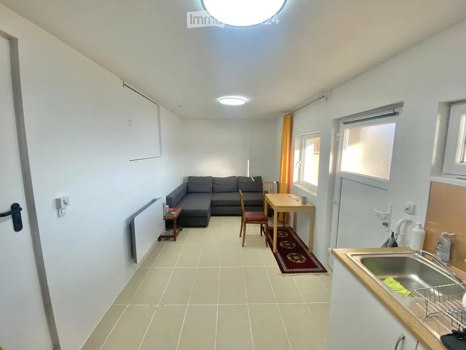 Bright studio, panoramic view in Mont-Pèlerin