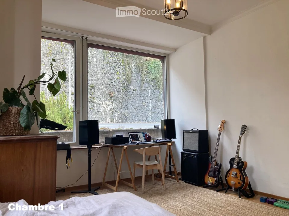 2 chambres en colocation dans une grande maison à Montreux