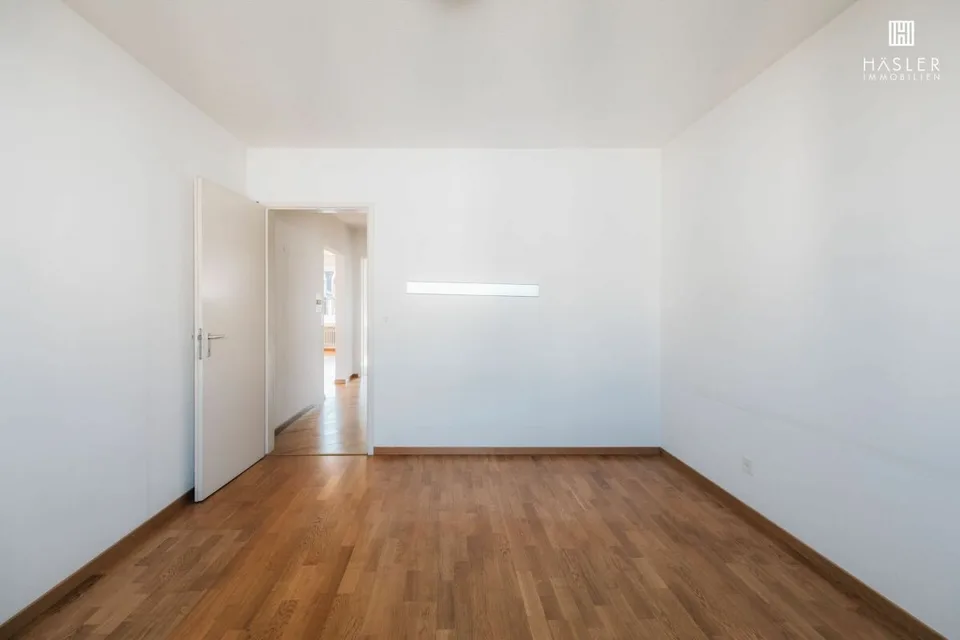 4.5-room apartment near the lake and city