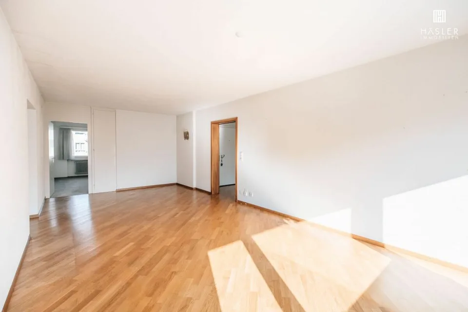 4.5-room apartment near the lake and city