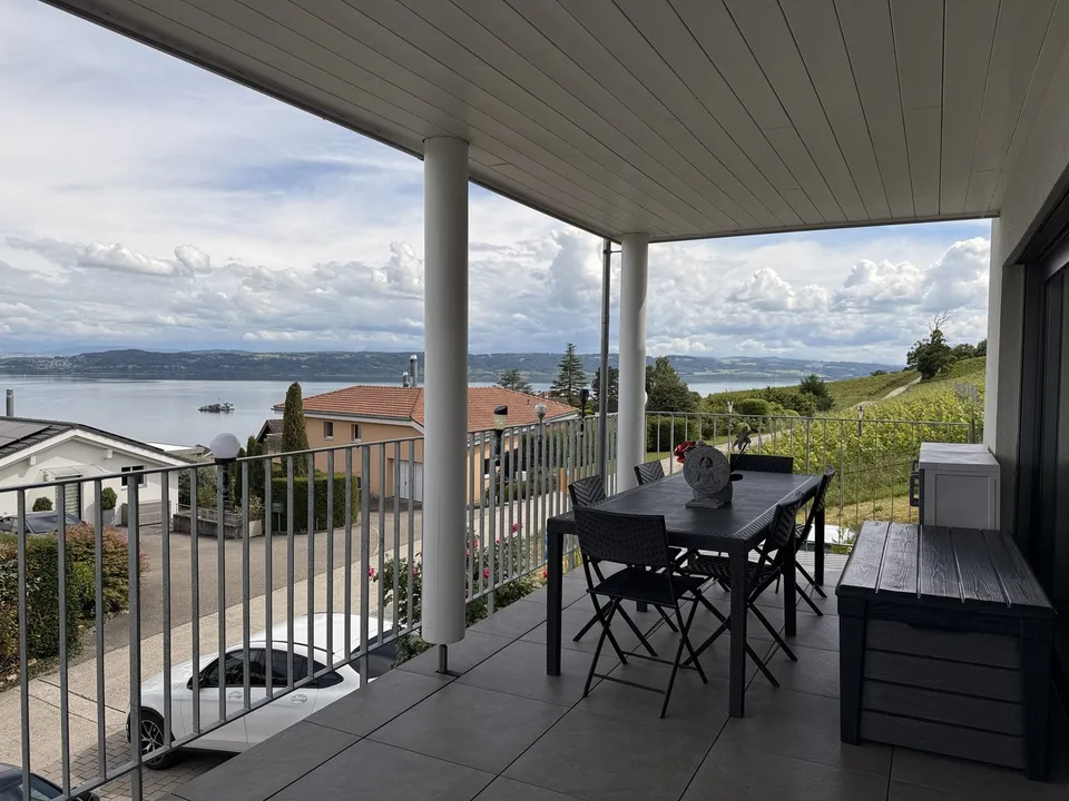 Recent house with three apartments and lake view