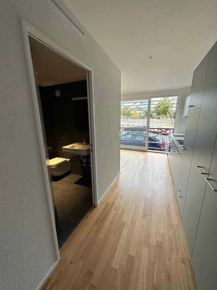 Modern and centrally located apartment in Basel