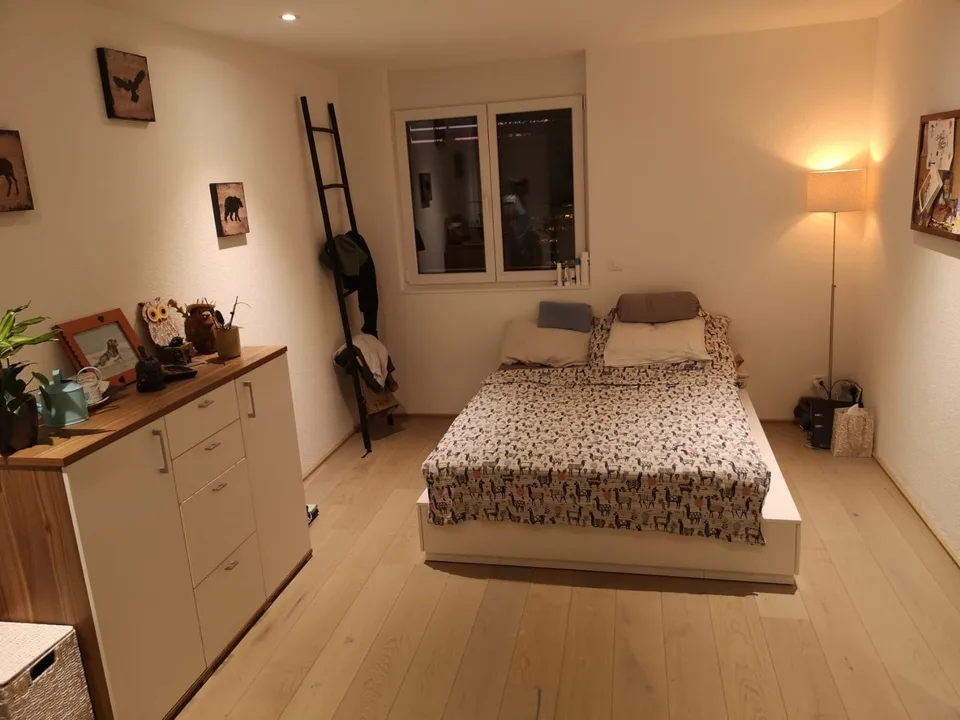 Cozy 2.5-room apartment with balcony in Buchs AG