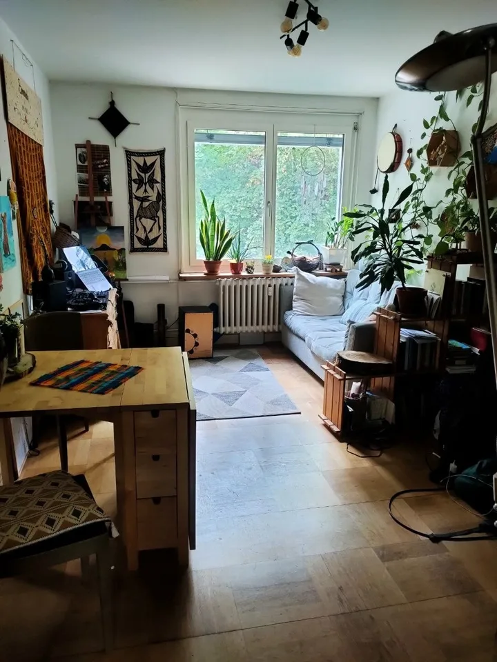 Lovely 5month sublet in basel