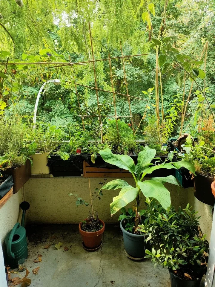 Jolie sous-location de 5 mois à Bâle
