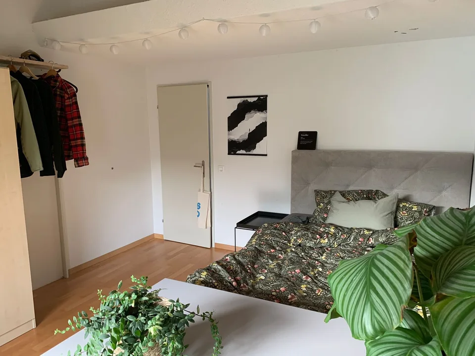 Shared Room, 8408 Winterthur
