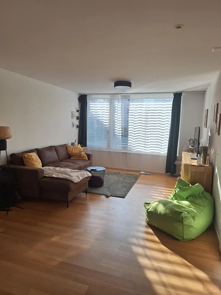 Beautiful 2.5 room apartment directly on the Rhine