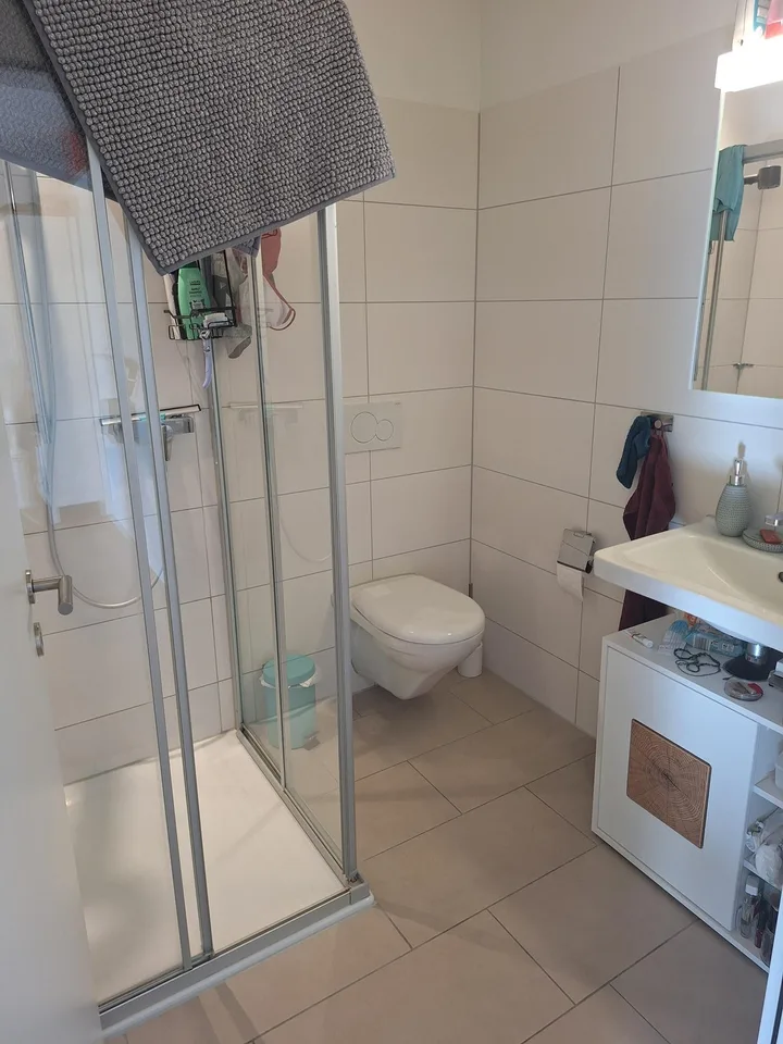 Beautiful 2.5 room apartment directly on the Rhine