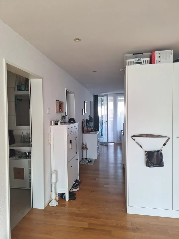 Beautiful 2.5 room apartment directly on the Rhine
