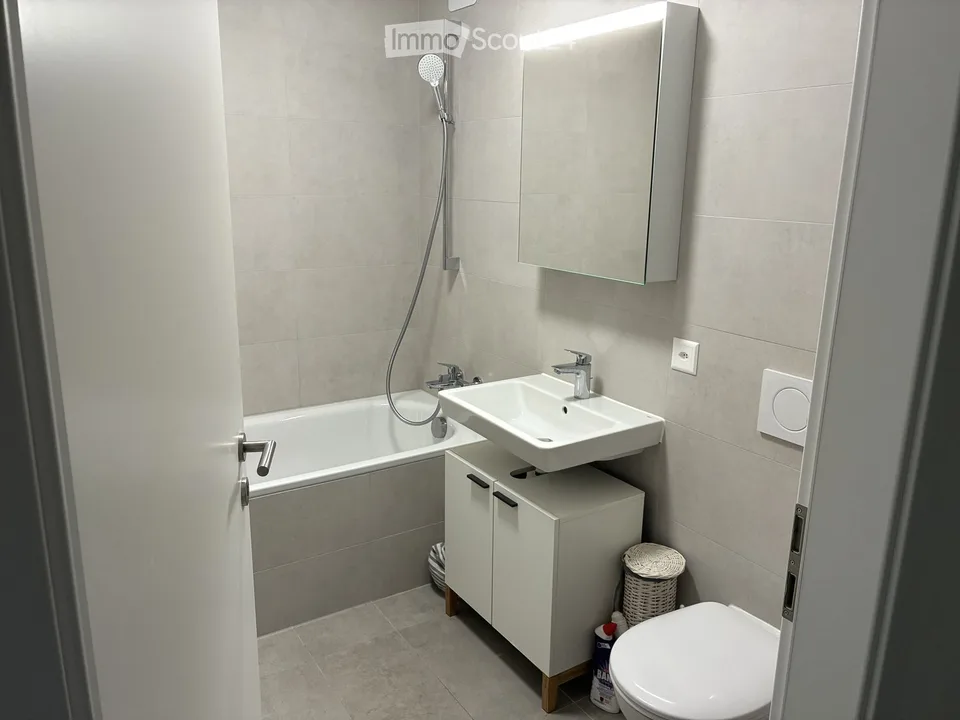 Magnificent 2.5-room new apartment with balcony in Crissier
