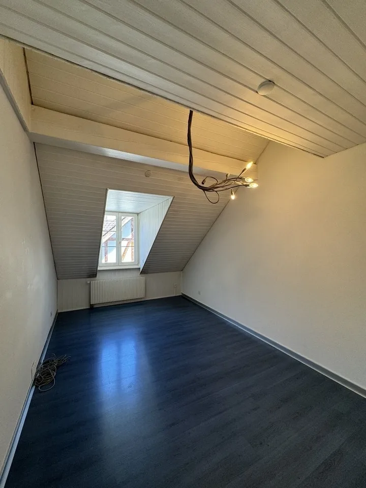 Large apartment on two floors with gallery in the center of Aarau