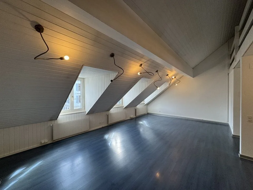 Large apartment on two floors with gallery in the center of Aarau