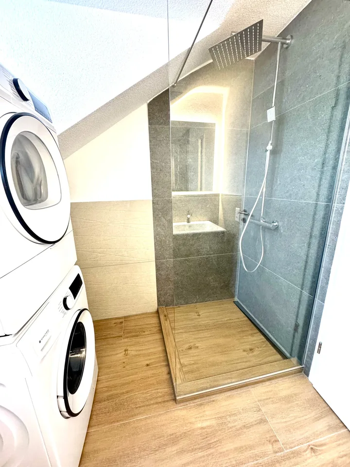 Wunderschöne 2.5 Zimmer Attika-Wohnungen in Wangen bei Olten