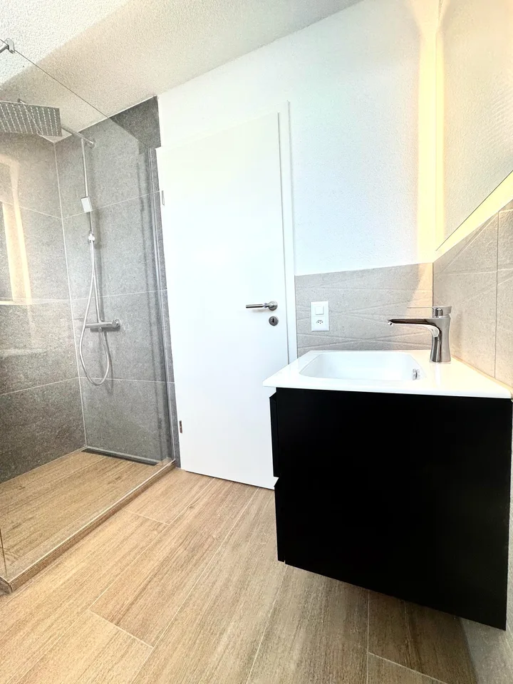 Wunderschöne 2.5 Zimmer Attika-Wohnungen in Wangen bei Olten