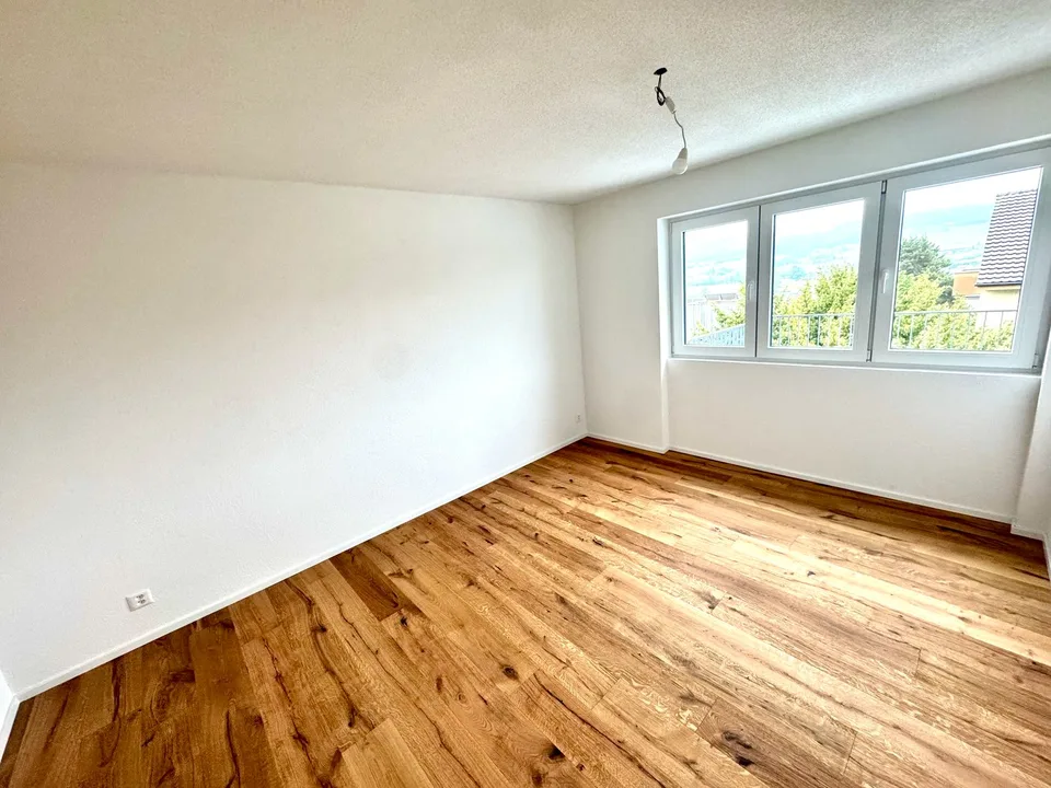 Wunderschöne 2.5 Zimmer Attika-Wohnungen in Wangen bei Olten
