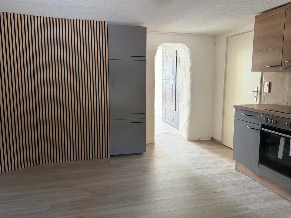 Charming 2.5-room old building apartment on the ground floor in Hägendorf