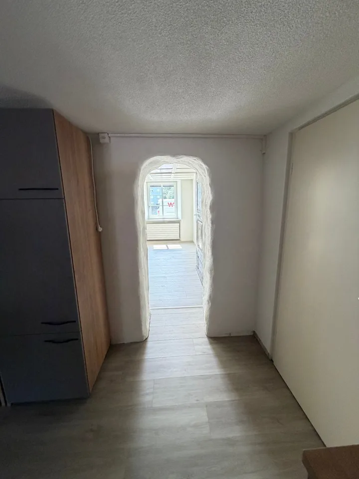 Charming 2.5-room old building apartment on the ground floor in Hägendorf