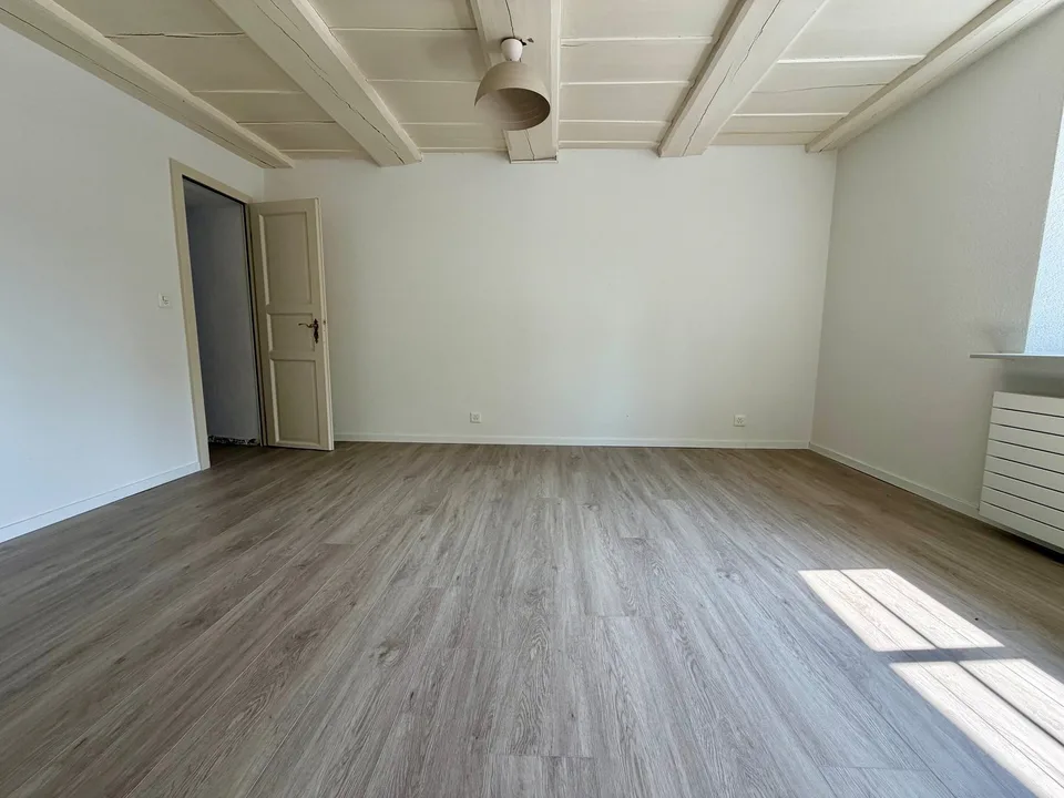 Charming 2.5-room old building apartment on the ground floor in Hägendorf