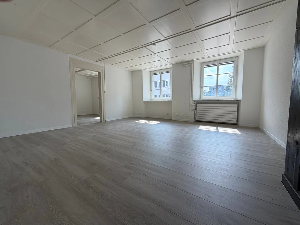 Charming 2.5-room old building apartment on the ground floor in Hägendorf