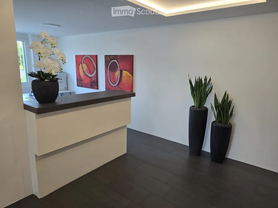 Bellissimi locali di ufficio moderni a Jonen AG