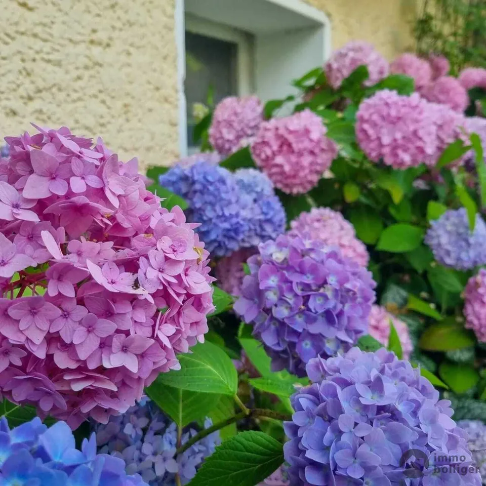 Blumiges Zuhause am Flieder-Weg