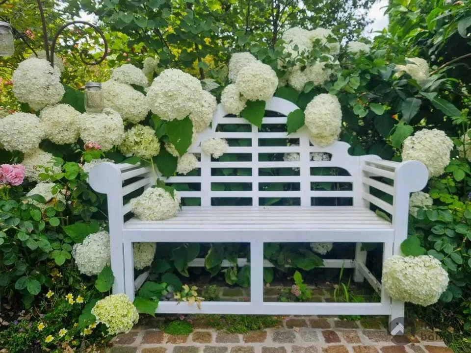 Blumiges Zuhause am Flieder-Weg