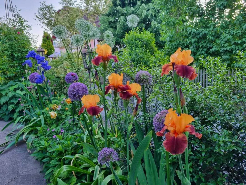 Blumiges Zuhause am Flieder-Weg