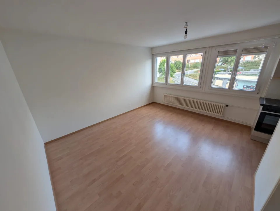 Top 1.5-Zimmer-Wohnung renoviert